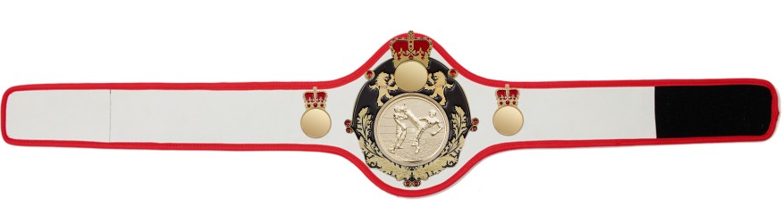 QUEENSBURY PRO LEATHER KICKBOXING CHAMPIONSHIP BELT - QUEEN/B/G/KBOG -10+ COLOURS