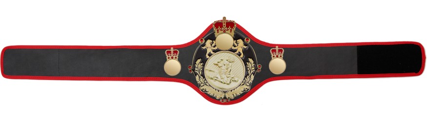 QUEENSBURY PRO LEATHER MMA CHAMPIONSHIP BELT - QUEEN/B/S/MMAG  -10+ COLOURS