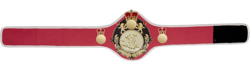 QUEENSBURY PRO LEATHER MMA CHAMPIONSHIP BELT - QUEEN/B/S/MMAG  -10+ COLOURS