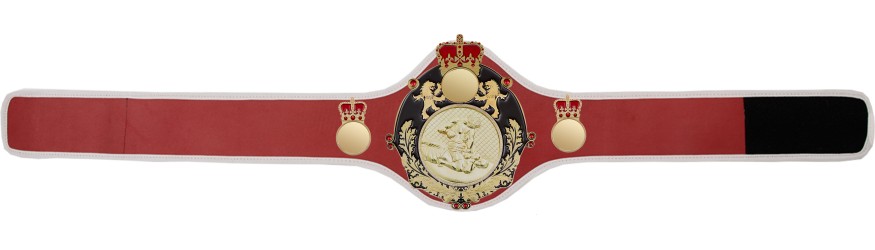 QUEENSBURY PRO LEATHER MMA CHAMPIONSHIP BELT - QUEEN/B/S/MMAG  -10+ COLOURS