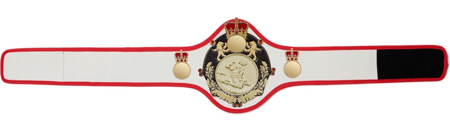 QUEENSBURY PRO LEATHER MMA CHAMPIONSHIP BELT - QUEEN/B/S/MMAG  -10+ COLOURS