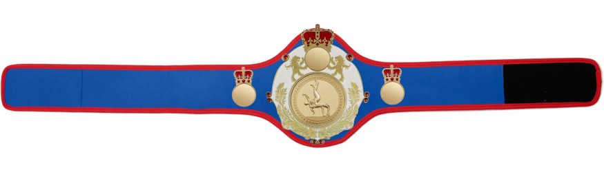 QUEENSBURY PRO LEATHER WRESTLING CHAMPIONSHIP BELT - QUEEN/B/G/WRESTG - 10+ COLOURS QUEENSBURY PRO LEATHER WRESTLING CHAMPIONSHIP BELT - QUEEN/B/G/WRESTG - 10+ COLOURS