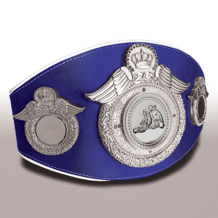 JIU JITSU CHAMPIONSHIP BELT-PROWING/S/JJS-6+ COLOURS