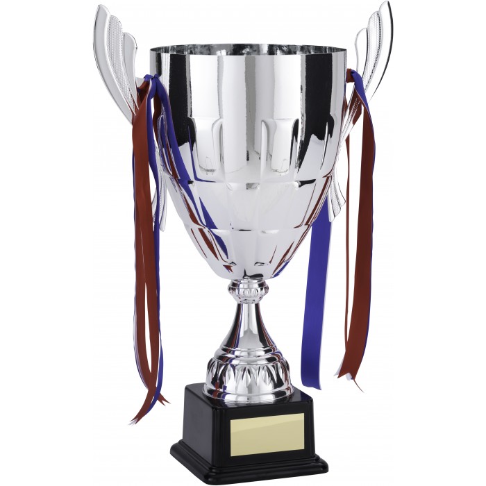 XL SILVER HANDLED TROPHY CUP - 3 SIZES
