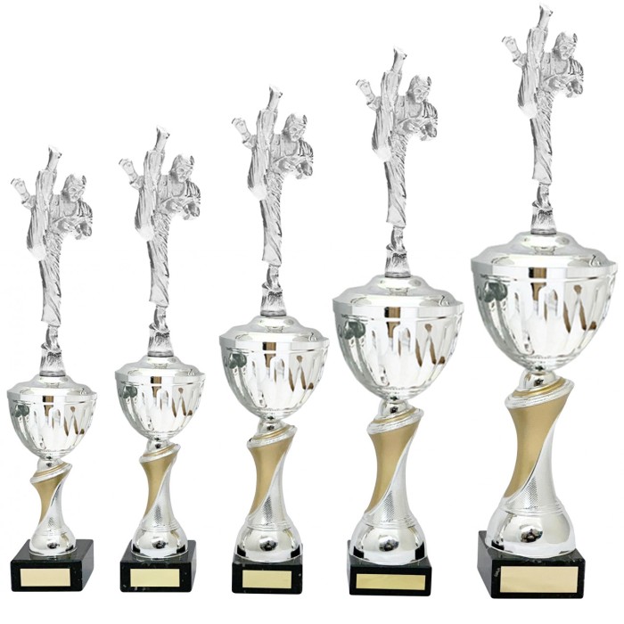 MARTIAL ARTS METAL TROPHY - AVAILABLE IN 4 SIZES MARTIAL ARTS METAL TROPHY - AVAILABLE IN 4 SIZES