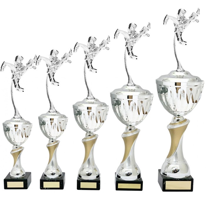 MARTIAL ARTS METAL TROPHY - AVAILABLE IN 4 SIZES MARTIAL ARTS METAL TROPHY - AVAILABLE IN 4 SIZES