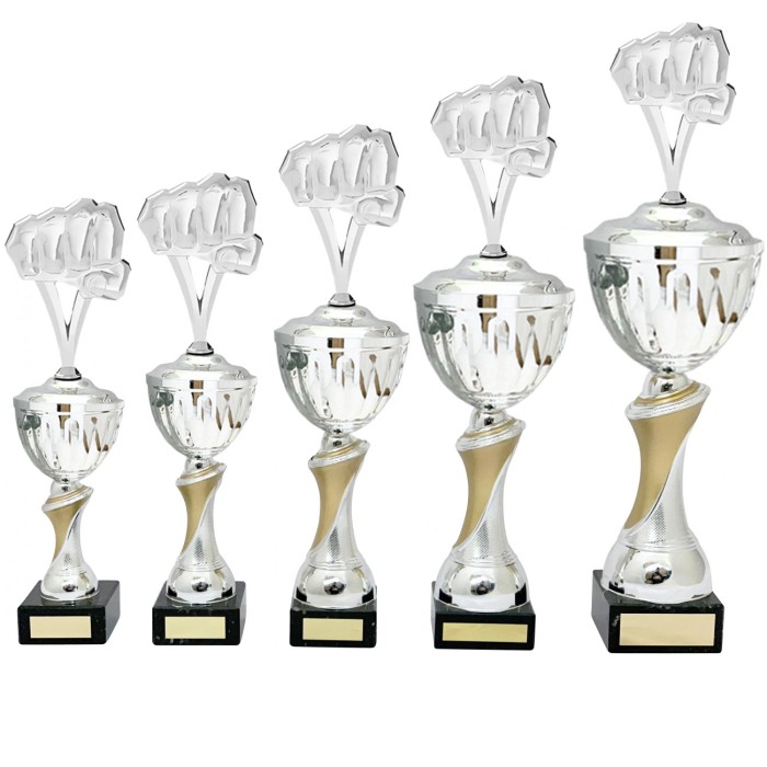 MARTIAL ARTS METAL TROPHY - AVAILABLE IN 4 SIZES MARTIAL ARTS METAL TROPHY - AVAILABLE IN 4 SIZES