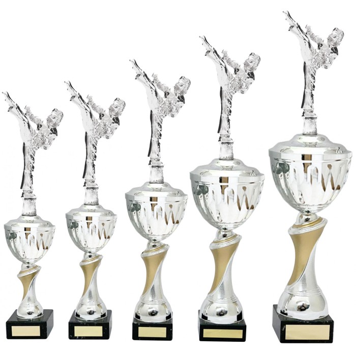 MARTIAL ARTS METAL TROPHY - AVAILABLE IN 4 SIZES MARTIAL ARTS METAL TROPHY - AVAILABLE IN 4 SIZES
