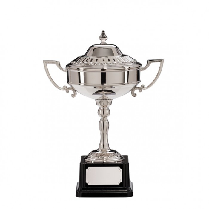 Nickel Plated Cast Metal Cup Tavistock Trophy Award *FREE ENGRAVING* 2 Sizes 