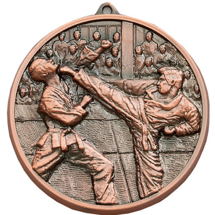 70MM X 6MM THICK KARATE MEDAL,BRONZE 