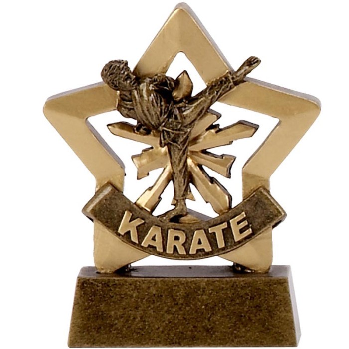 KARATE GOLD MINI STAR RESIN - 3.25'' KARATE GOLD MINI STAR RESIN - 3.25''