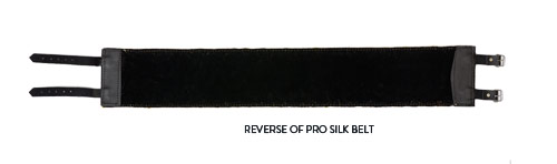 Silk-Belt-Reverse